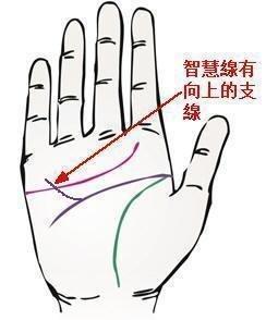 女人手相财运线在什么位置你知道吗
