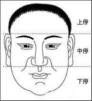 女人手硬好还是手软好 女人的手相最全分析