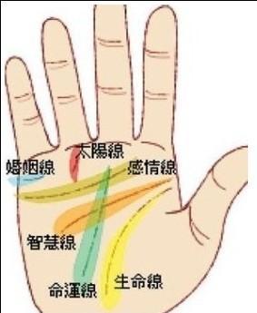 女人手纹怎么看有没有钱 这几种手相的女人钱多