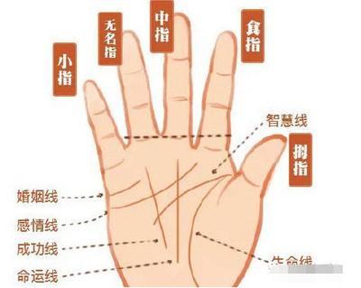 女人手纹怎么看有没有钱 这几种手相的女人钱多