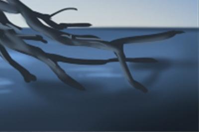 女人招风耳面相运势 女人招风耳说明什么