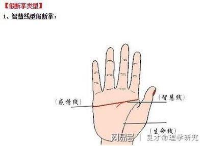 女人断掌好不好 断掌的女人命运如何