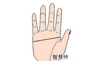 女人断掌手相的性格特点 女人断掌好不好