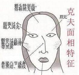 女人旺夫的面相是怎样的 旺夫的女人面相分析