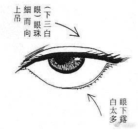 女人是下三白眼的面相好不好 下三白眼女人的面相分析