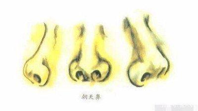 女人朝天鼻面相好吗 女人有朝天鼻代表着什么