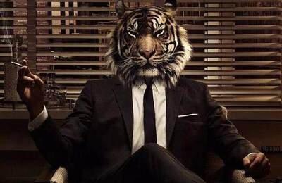 哪些生肖女能当老板 经商能力强的生肖女 哪些生肖女能当老板 经商能力强的生肖女