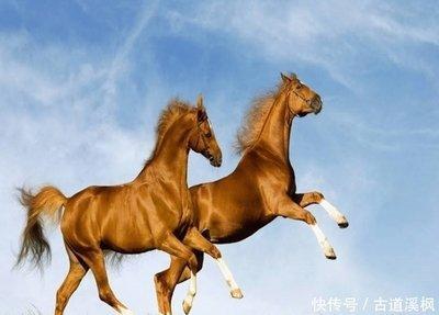 哪些生肖年后迎贵人 工作稳定收入高 升职不是梦