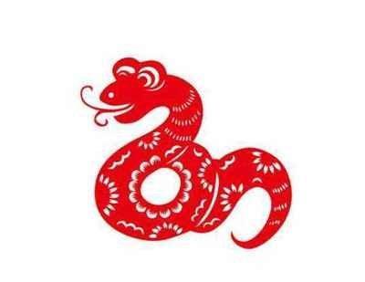 哪些生肖是属蛇的人的命中贵人分析生肖的关系
