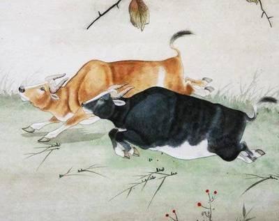 哪些生肖最好骗 这几个生肖一定要注意