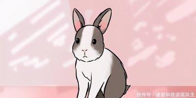 哪些生肖爱出风头 最喜欢出风头的生肖有哪几个