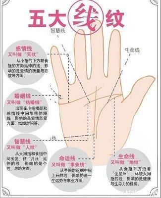 女生手相图解大全 女生的手相该怎么看