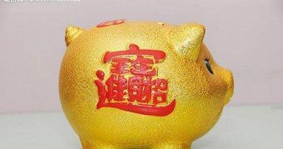 哪些生肖能够在2025年中获得出色的财富收入