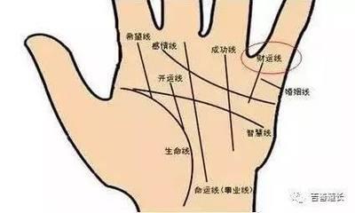 女生的感情线有很多种类型 女人感情线手相图解