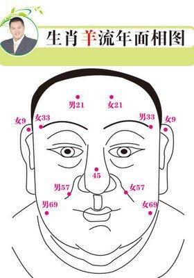 女人法令纹面相解析 法令纹面相该怎么看 女人法令纹面相解析 法令纹面相该怎么看