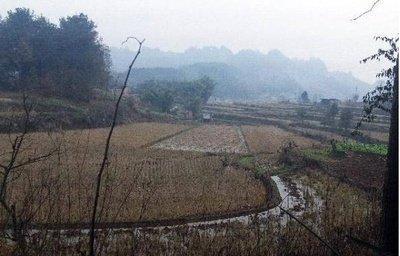 坟墓风水：哪些地段不适合作为下葬使用