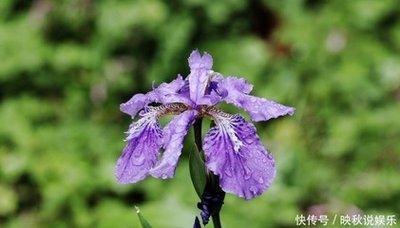女人爰吃醋打生肖 什么生肖女喜欢吃醋