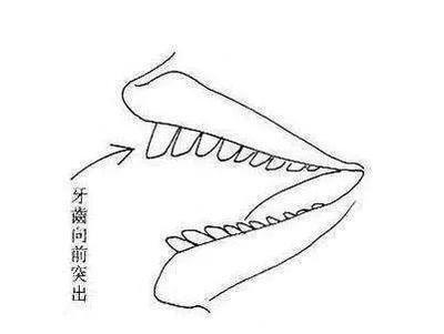 哪些面相特征的女性生性较为薄情尖酸刻薄
