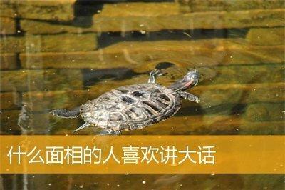 哪些面相的人喜欢讲大话 绝对不能信任