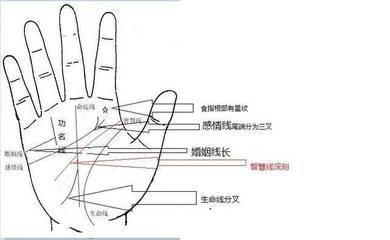 女人的手相感情线分叉图解 女人感情线分叉说明什么