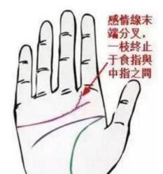 女人的手相感情线分叉图解 女人感情线分叉说明什么
