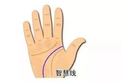 女人的手相智慧线图解 女人手中智慧线有哪些含义