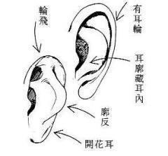 哪些面相的人总是诸事不顺 什么面相的人很倒霉