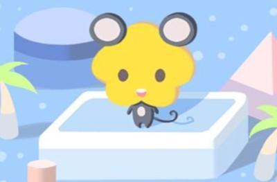 女鼠男猪婚姻会永久吗 属鼠女人更爱哪些生肖