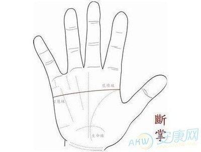 哪些面相的女人能够享夫福 婚后享老公福气的女人面相