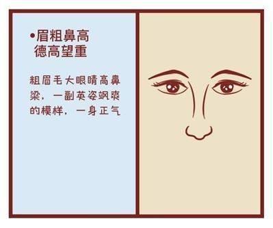 女人眉毛粗的面相你知道什么命运吗