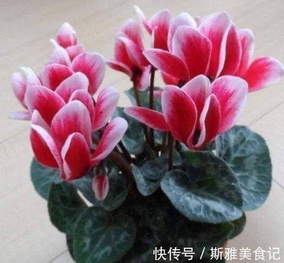 好听且旺运的名字大全 什么样的名字好听且旺运
