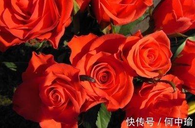 哪几个星座的人能够富贵缠身钱财无忧