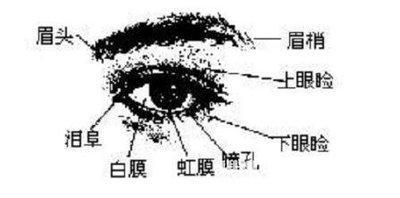 女人眼睛看相分析 什么眼睛的女人好