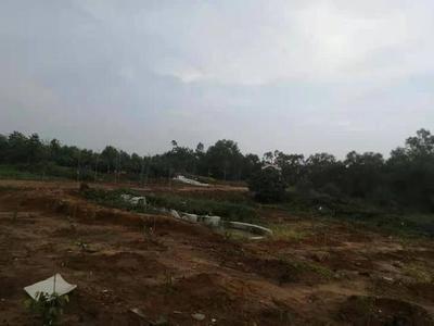 墓地一定要选阳地——如何寻找阳地建造墓地