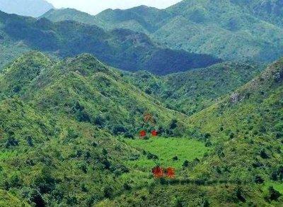 墓地风水不好 为何会影响到后人的运势