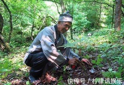 墓地风水与其周围植被的风水有何关联