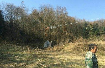 墓地风水与其周围植被的风水有何关联