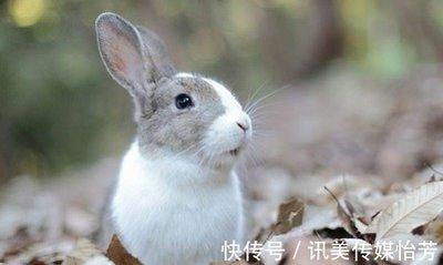 哪生肖女有自信 特别自信的生肖女是你吗