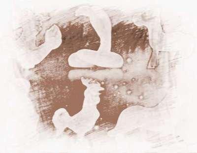 哪生肖男受女人喜欢 女人最爱的生肖男