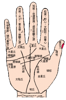 哪种手相的人偏财运旺 什么手相的人有偏财运