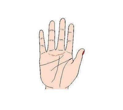 哪种手相的男人桃花运最旺深受异性喜爱