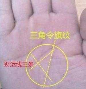 哪种手纹注定成为有钱人 富甲一方的手相