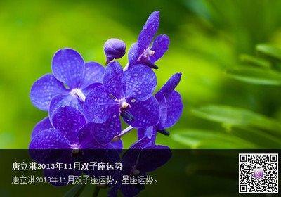 唐立淇2025年11月双子座运势