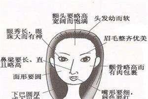 女人面相分析命运  面相分析女人以后命运