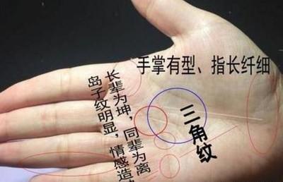 好的手相都具备这些特点让你好运连连