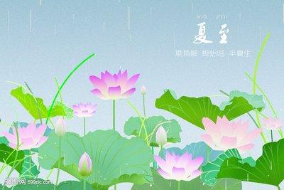 夏至是什么时候夏至是什么意思