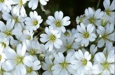 啥时辰出生命里带财 一生运气财运都好