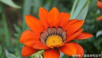 外表成熟内心幼稚星座 相处之后才发现幼稚的人