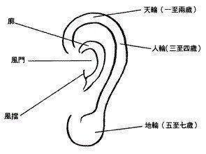 大嘴巴的女人运势是好是坏  女人嘴巴大代表着什么