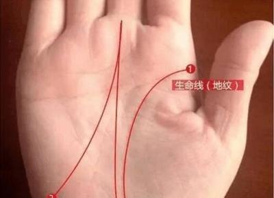 大器晚成手相图解一般中年后才有成就
